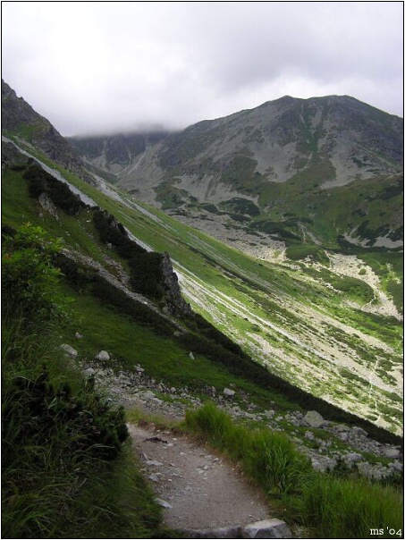 img00002.jpg