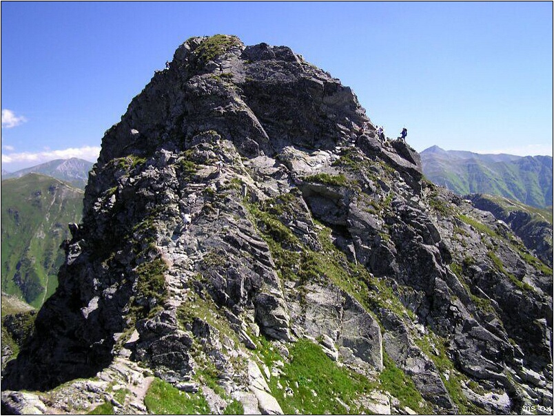 img00012.jpg