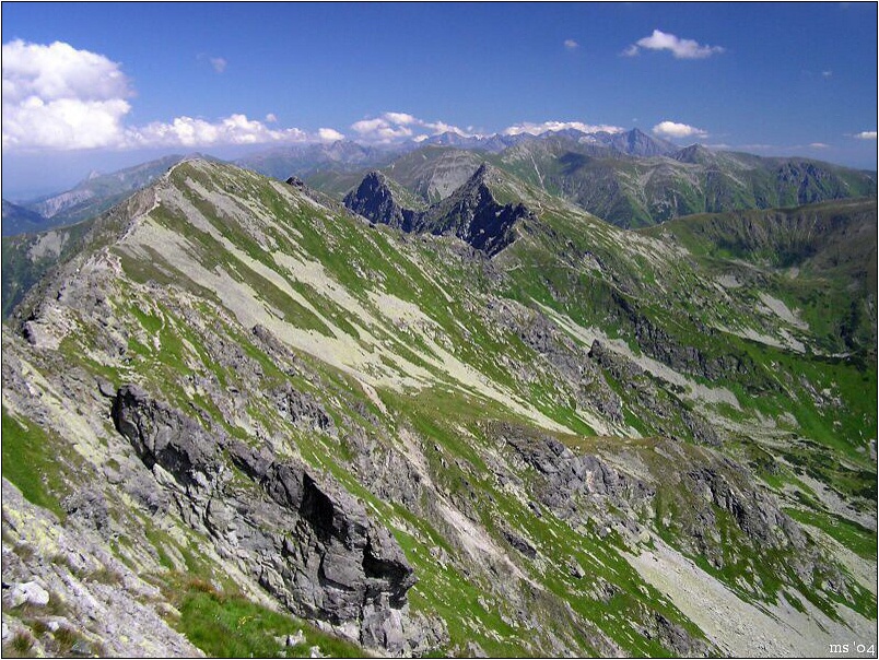 img00018.jpg