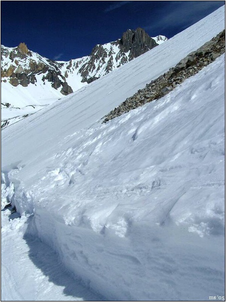 img00029.jpg