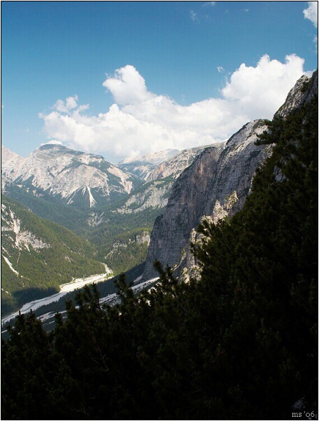 img00008.jpg
