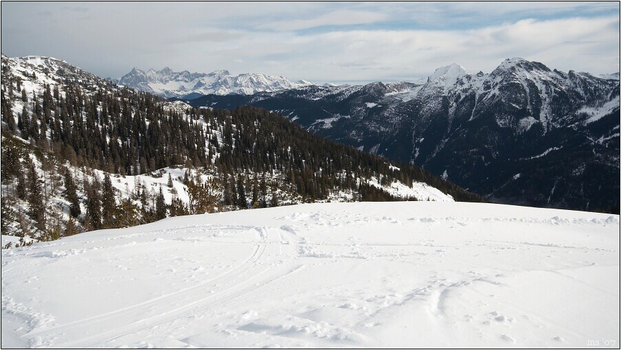 img00005.jpg