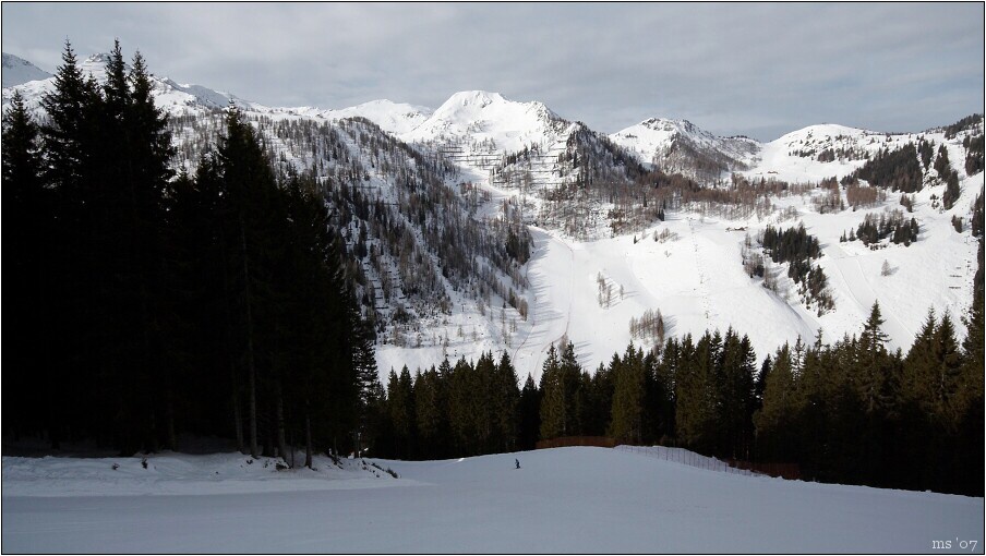 img00008.jpg
