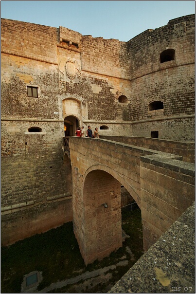 img00014.jpg