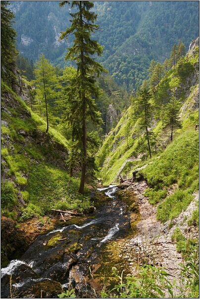 img00005.jpg