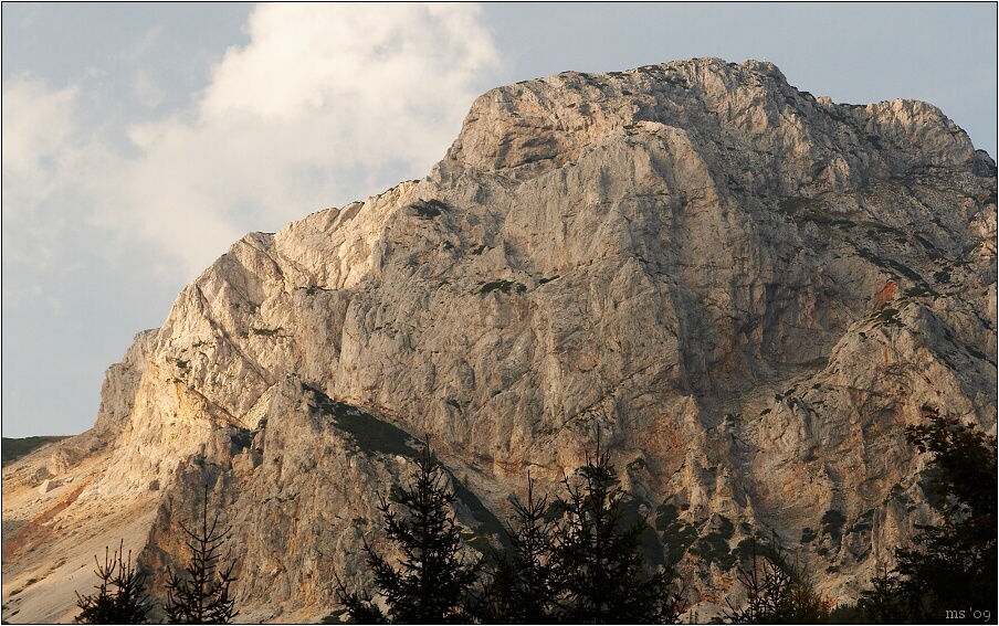img00020.jpg