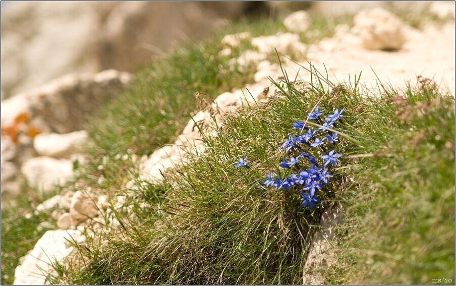 img00043.jpg