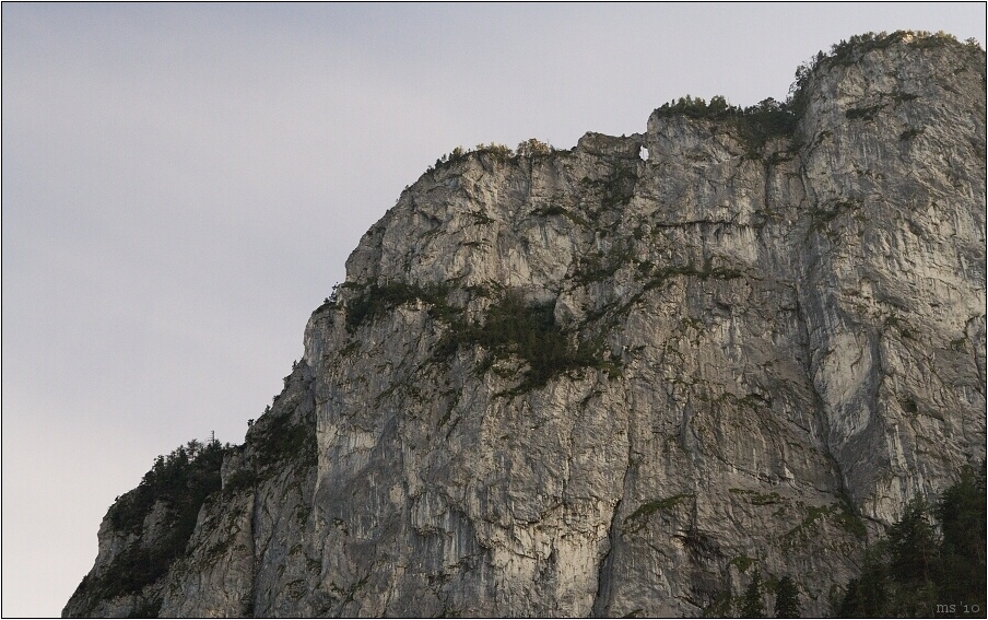 img00004.jpg