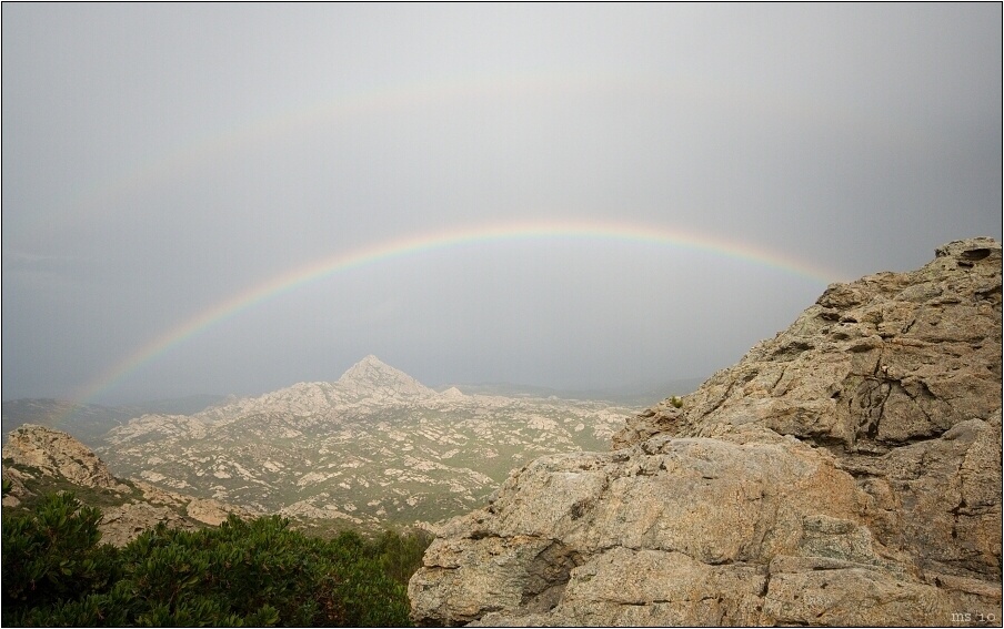 img00005.jpg