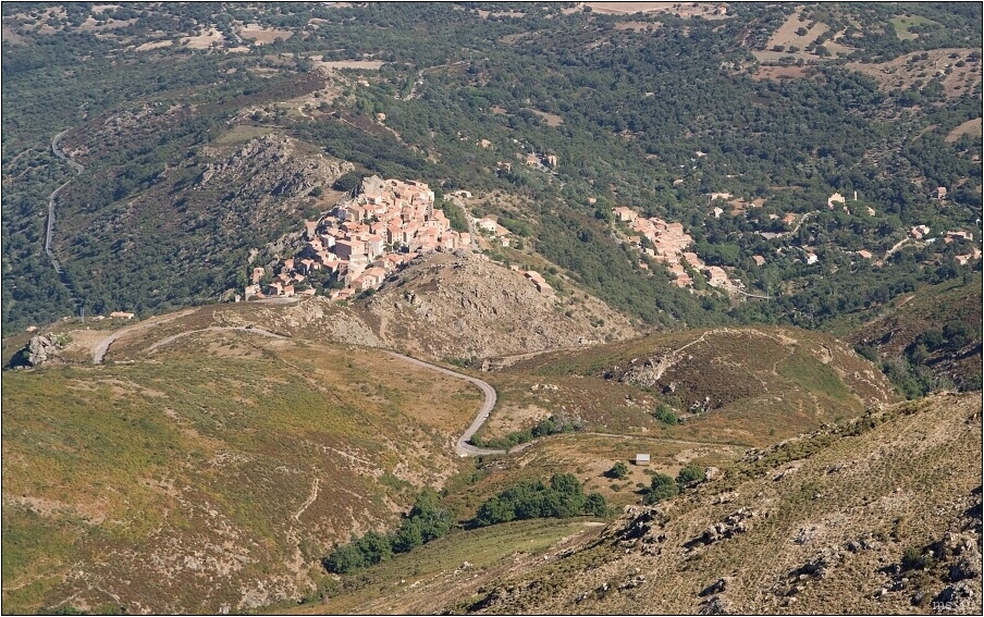img00006.jpg