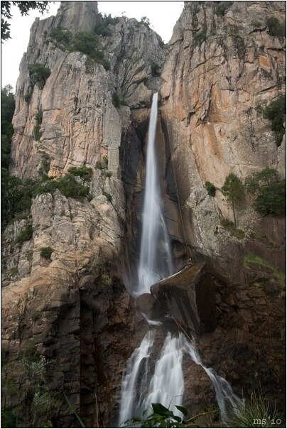 img00050.jpg