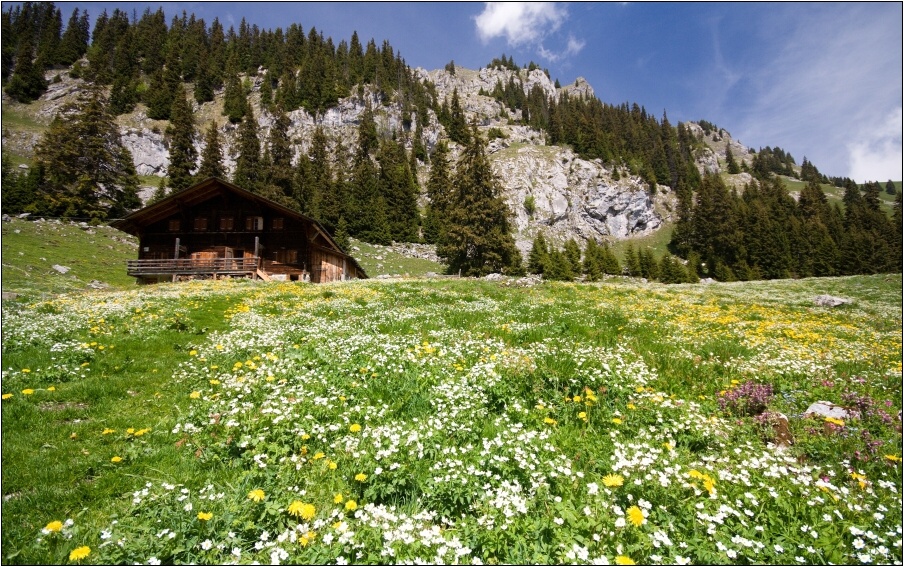 img00016.jpg