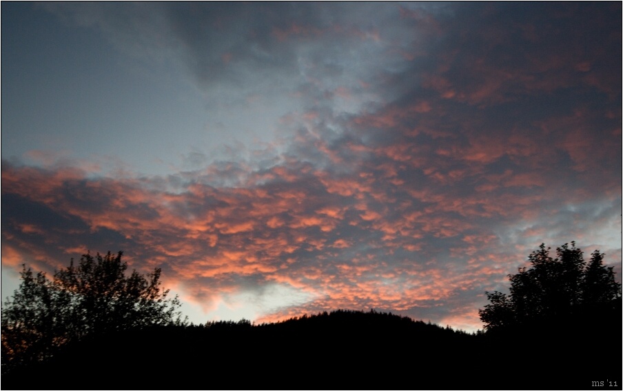 img00012.jpg