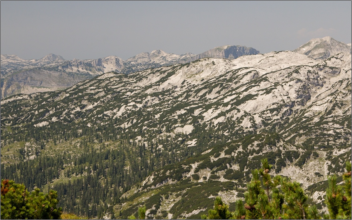img00010.jpg