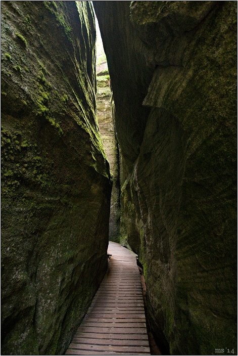 img00011.jpg