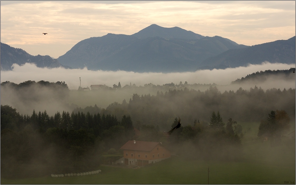 img00020.jpg