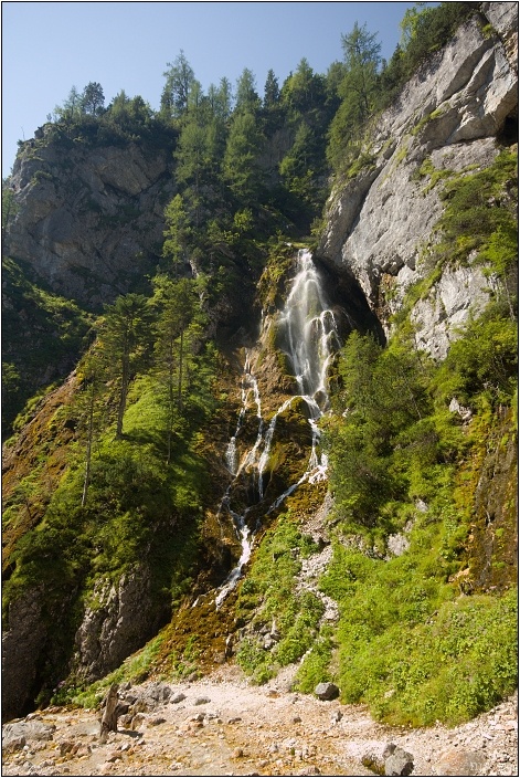 img00005.jpg