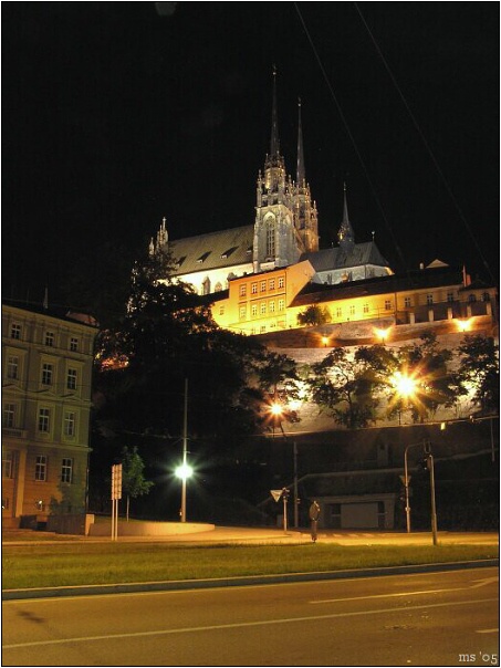 img00010.jpg
