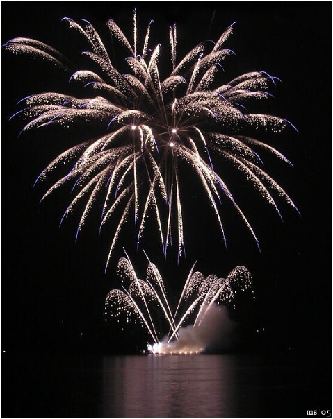 img00011.jpg