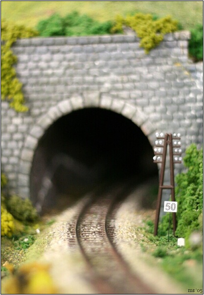 img00007.jpg