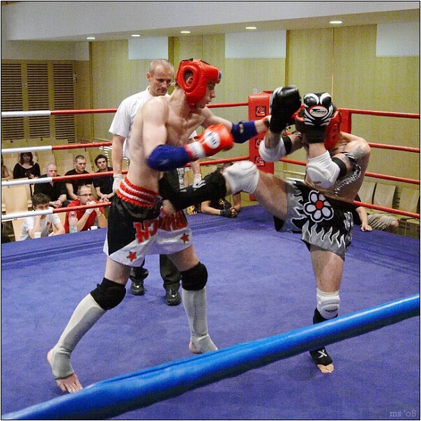 img00010.jpg