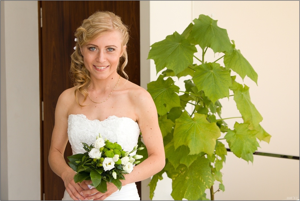 img00005.jpg