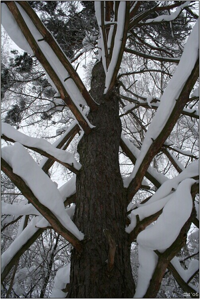 img00005.jpg