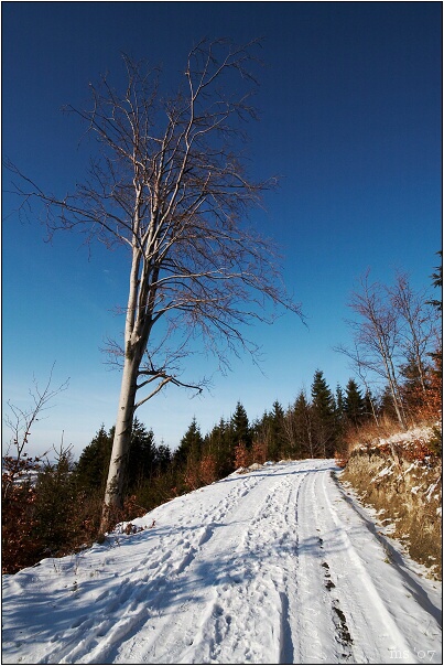 img00003.jpg
