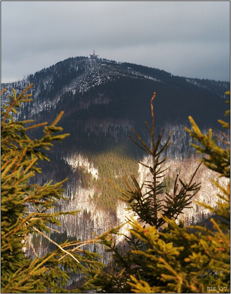 img00012.jpg
