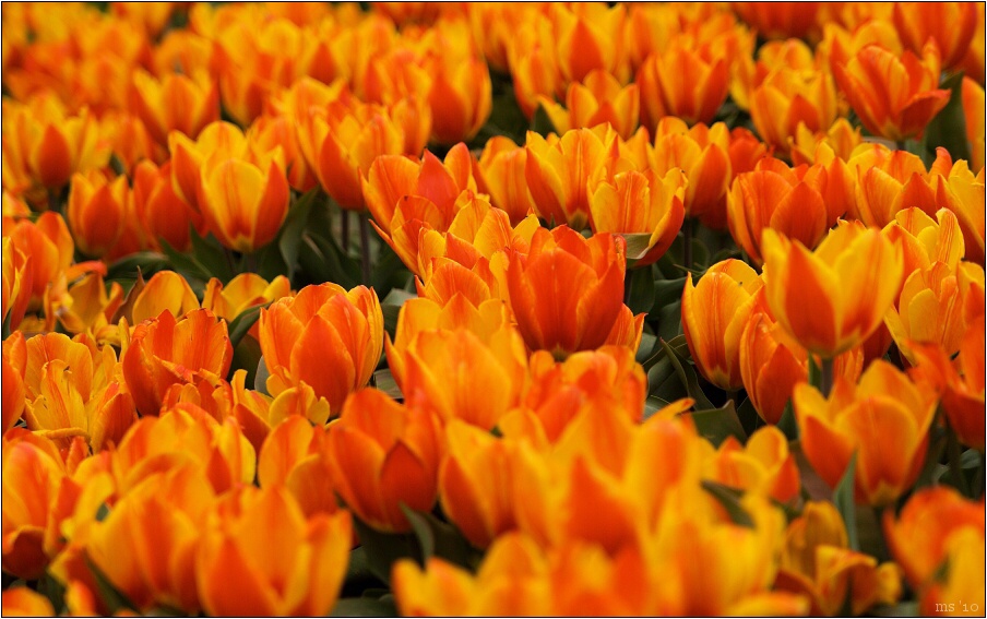 img00014.jpg