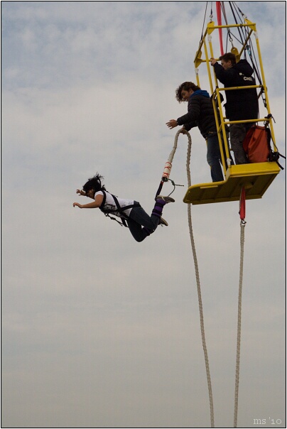 img00017.jpg