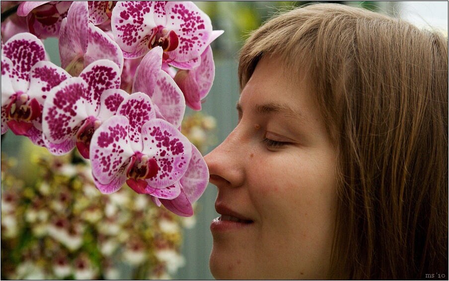 img00008.jpg