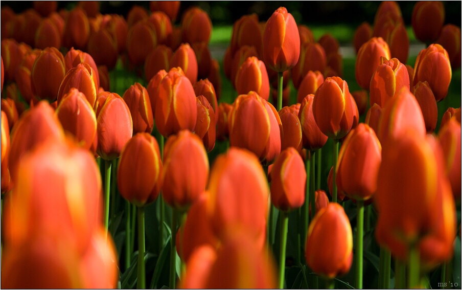 img00015.jpg
