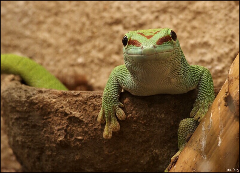 img00003.jpg